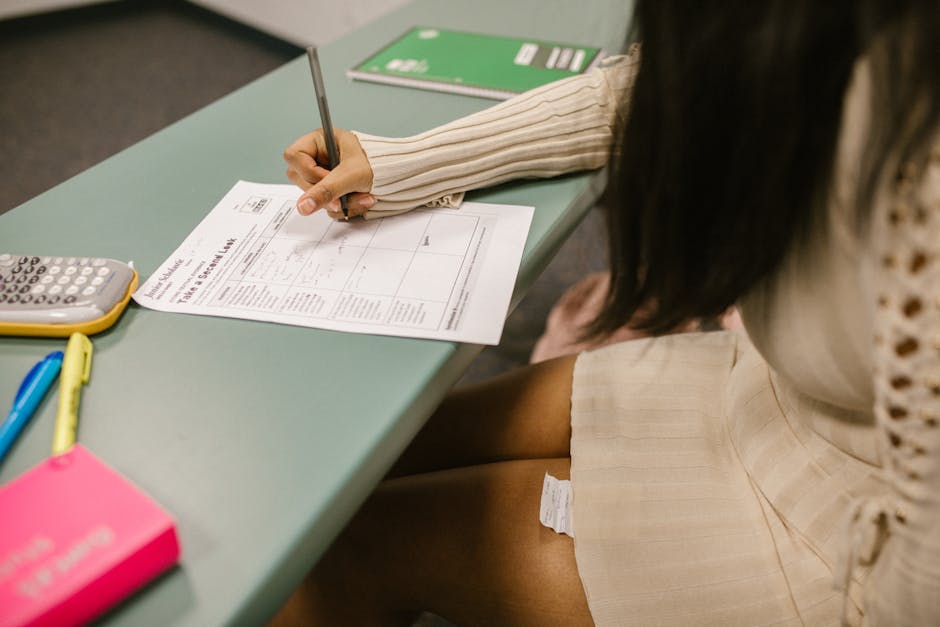 14 Social Mobility Groups Urge Government to Fund ‘Student Premium’ Post-GCSEs