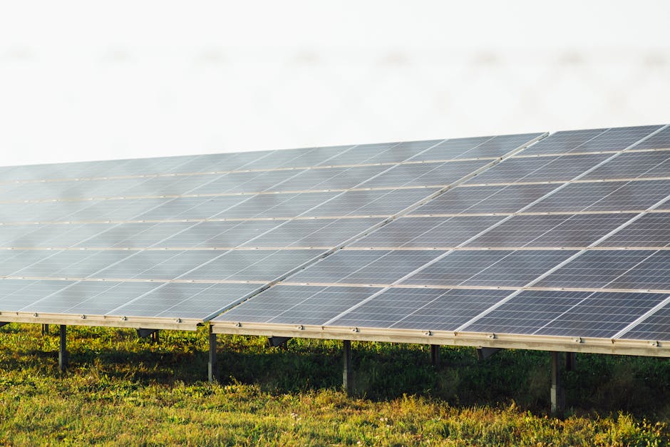 60 Countries Unite to Phase Out Fossil Fuels