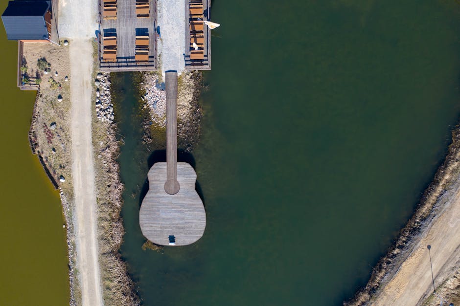 Aerial Footage Reveals Giant Guitar Forest