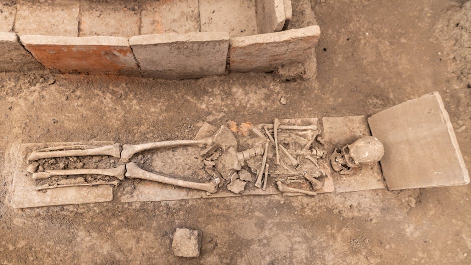 Ancient Mass Grave Reveals Pandemic’s Devastating Impact 1,500 Years Ago