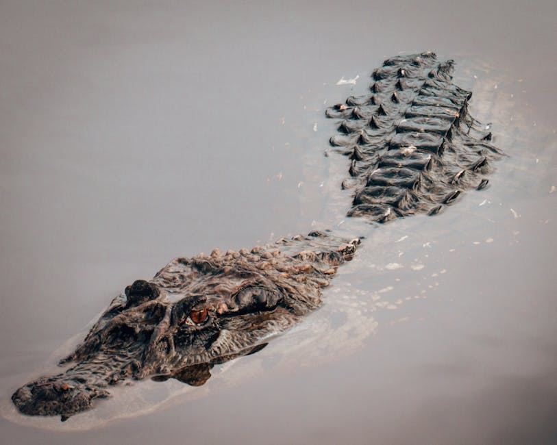 Ancient “Terror Croc” Breaks Records with Massive Size