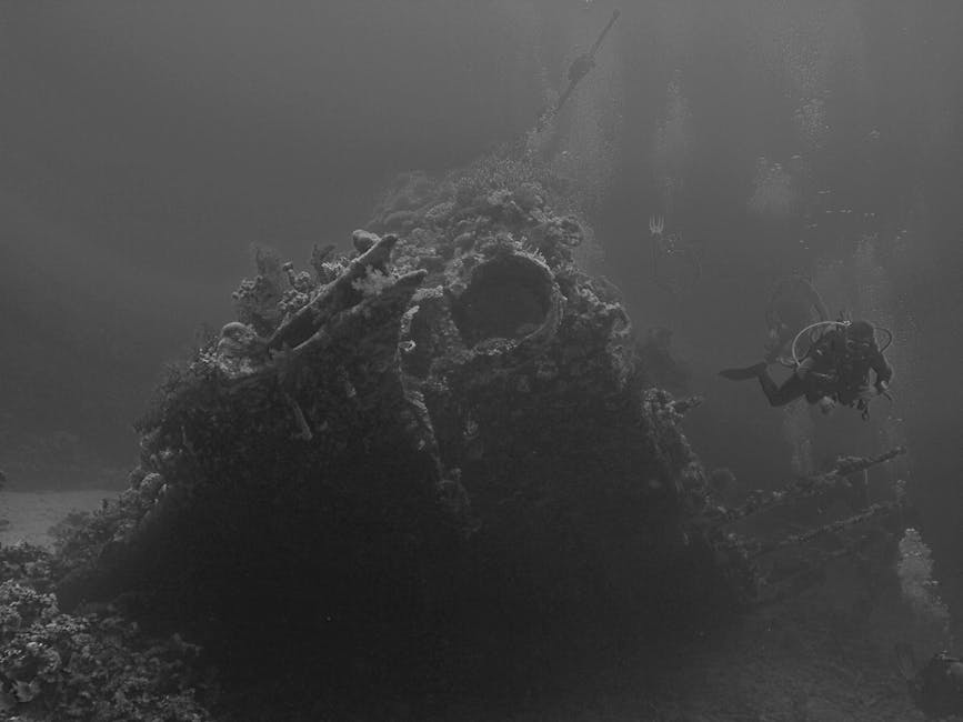 Archaeologists Uncover 30 Shipwrecks in Bay of Gibraltar