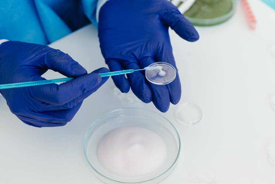 Brain Organoids Transform Research with 90% Success Rate