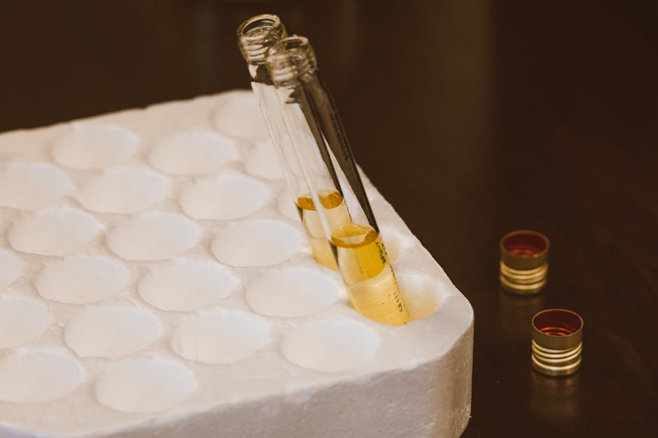 Brain Tricks: How Perception Alters Taste Preferences for Artificial Sweeteners