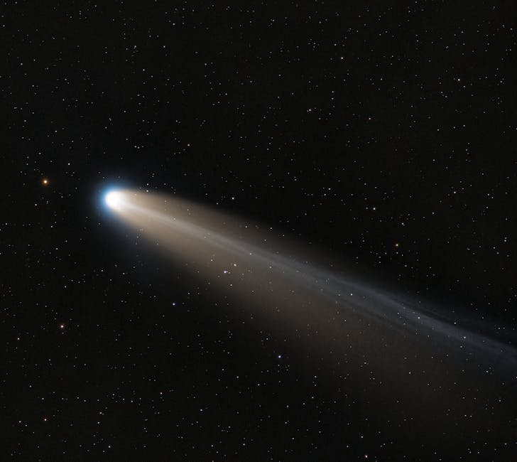 Comet Spin Direction Reversal Observed for the First Time