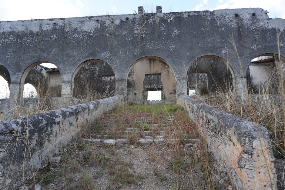 Commonwealth Leaders Defy Reform UK’s Threat to Halt Visas Over Reparations