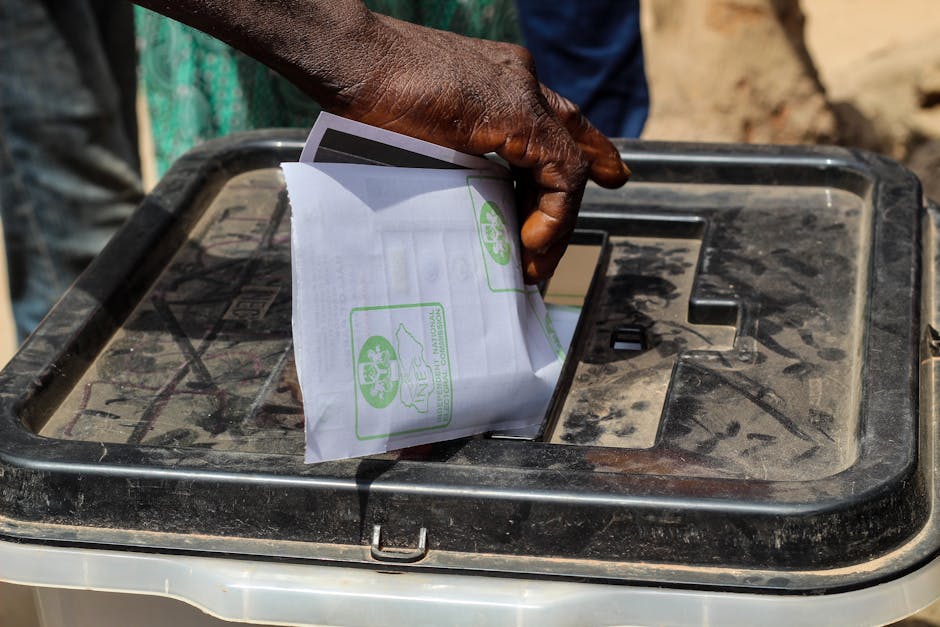 Election in Benin: 8 Million Voters Decide