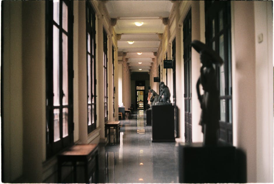 Europe’s Museums Confront the Skeletons in Their Closets