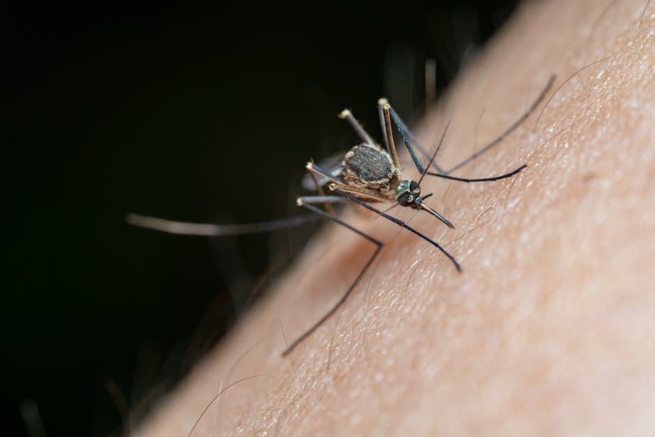 Flight Path Data Reveals Mosquitoes’ Preference for Humans