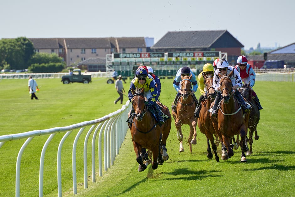 Friday Racing Sees 12 Events Across UK
