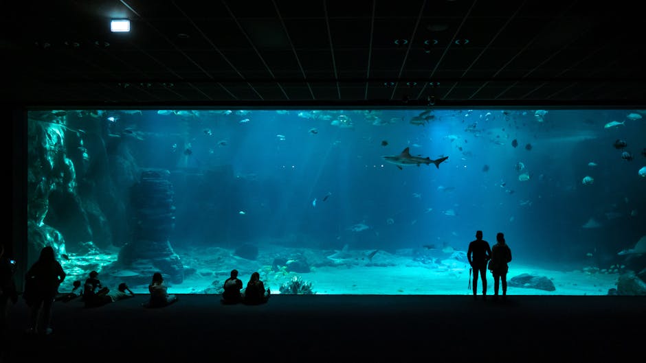 How Poppi Became a $2 Billion Brand