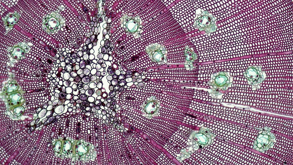 Maternal RSV Vaccination Cuts Infant Hospitalization Risk by Over 80%, Major Study Finds