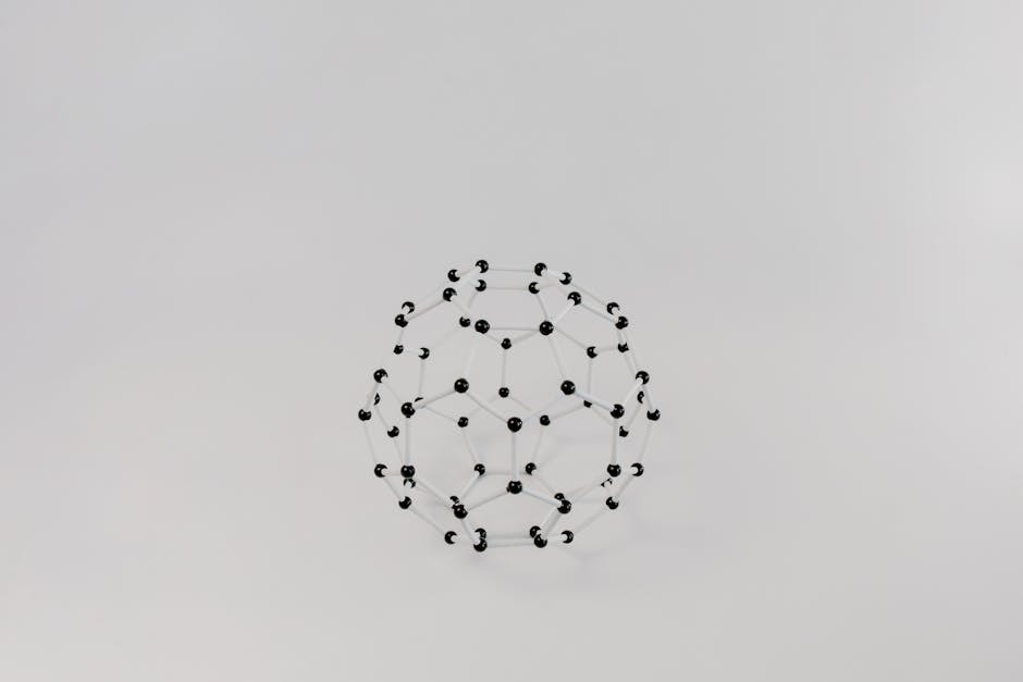 New Model Reveals Insights into Fil-C Dynamics