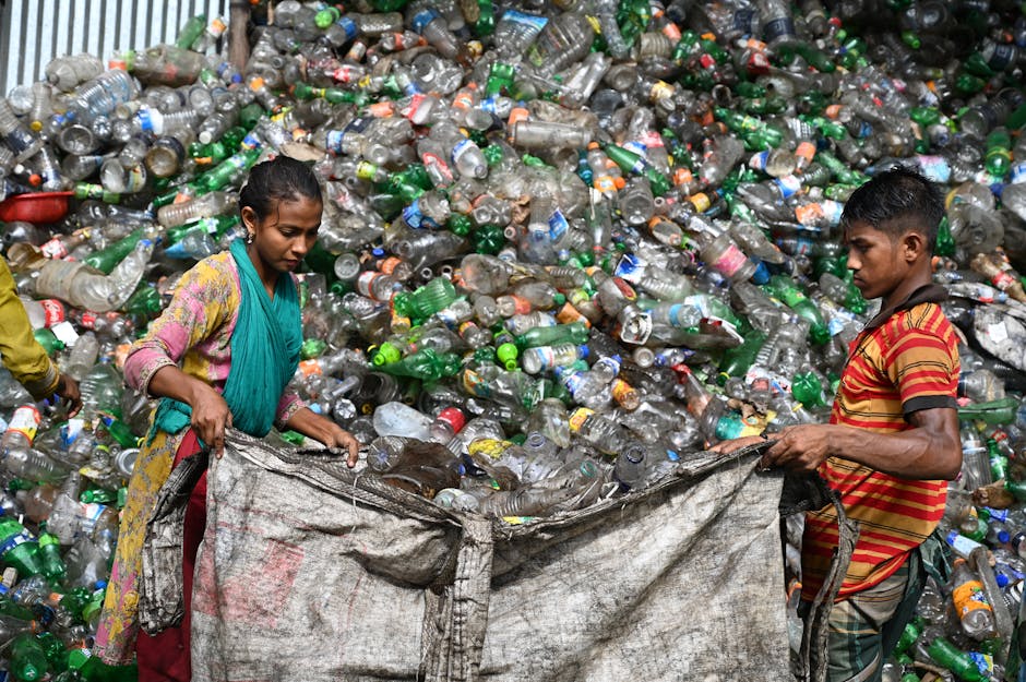 New Tech Identifies Recyclable Plastics with 95% Accuracy