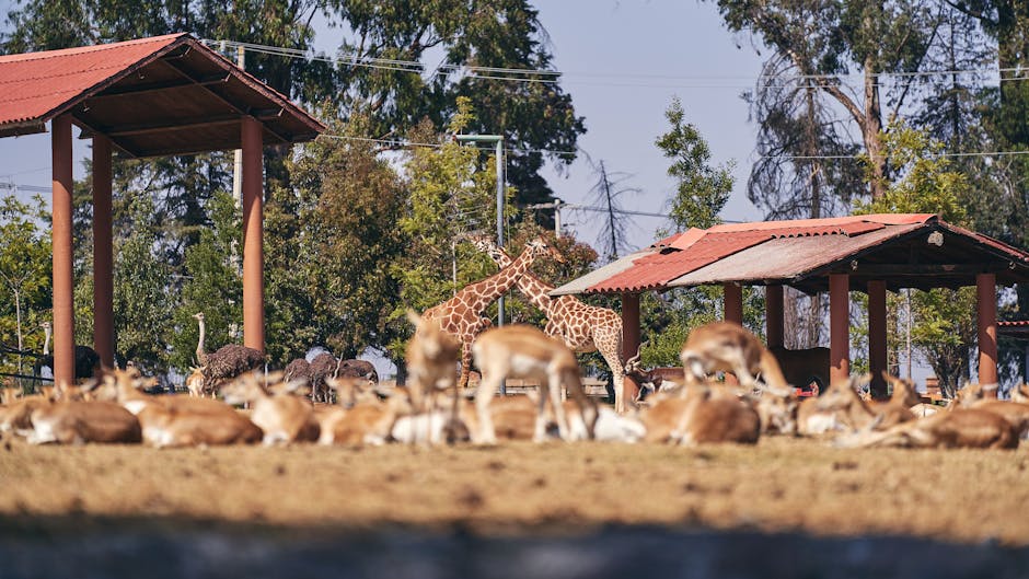 Safari Park Reveals 60 Years of Conservation