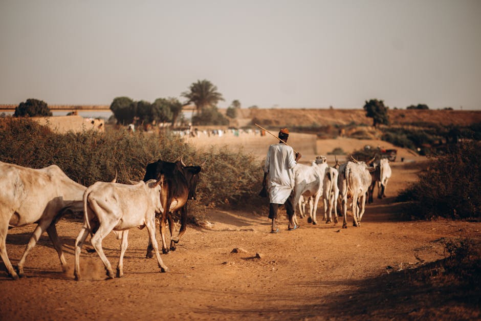 Sudan Crisis Worsens with 8 Million at Risk