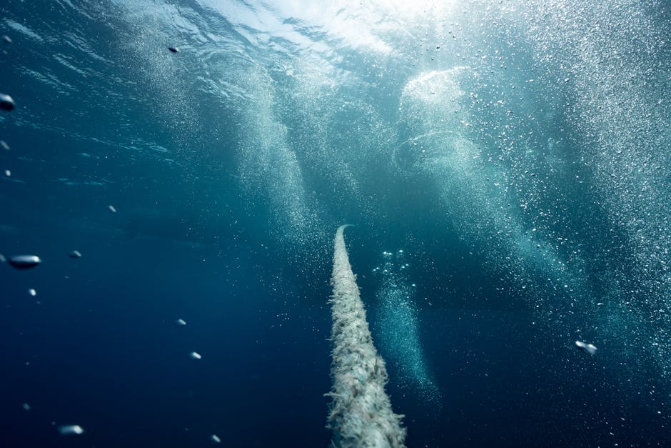 Suspected Sabotage of Deep-Sea Cable Triggers First NATO-Led Response