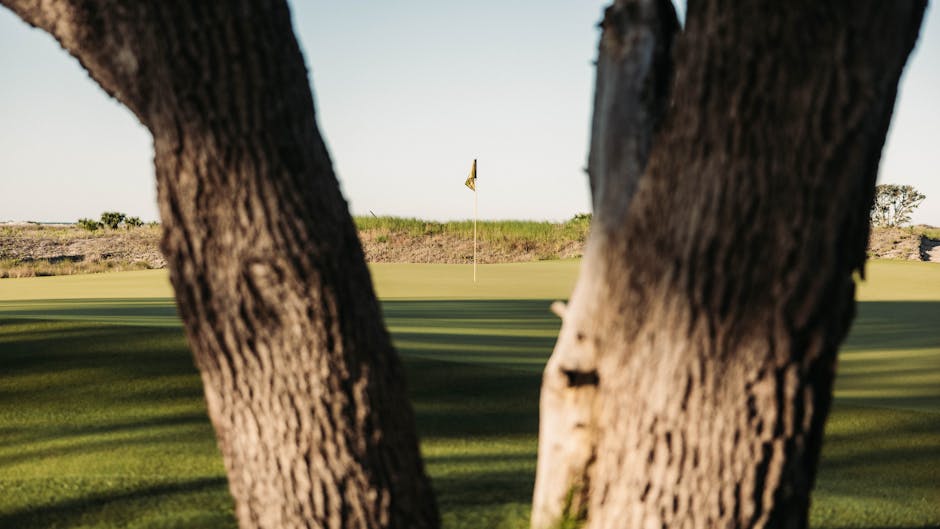 Tiger Woods’ DUI Case Surges Forward with New Developments