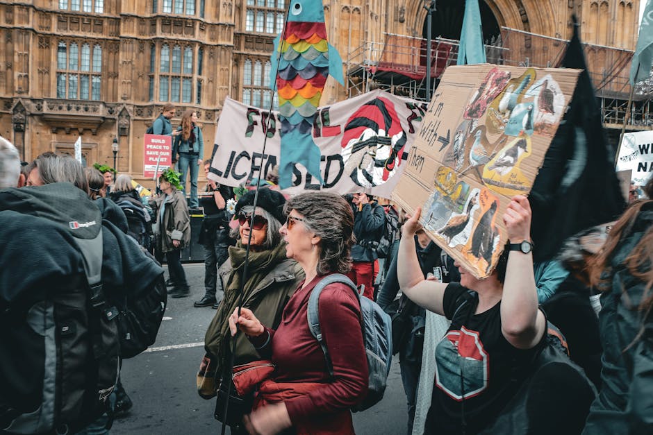 UK Climate Protests: 8 in 10 Activists Undeterred by Arrests