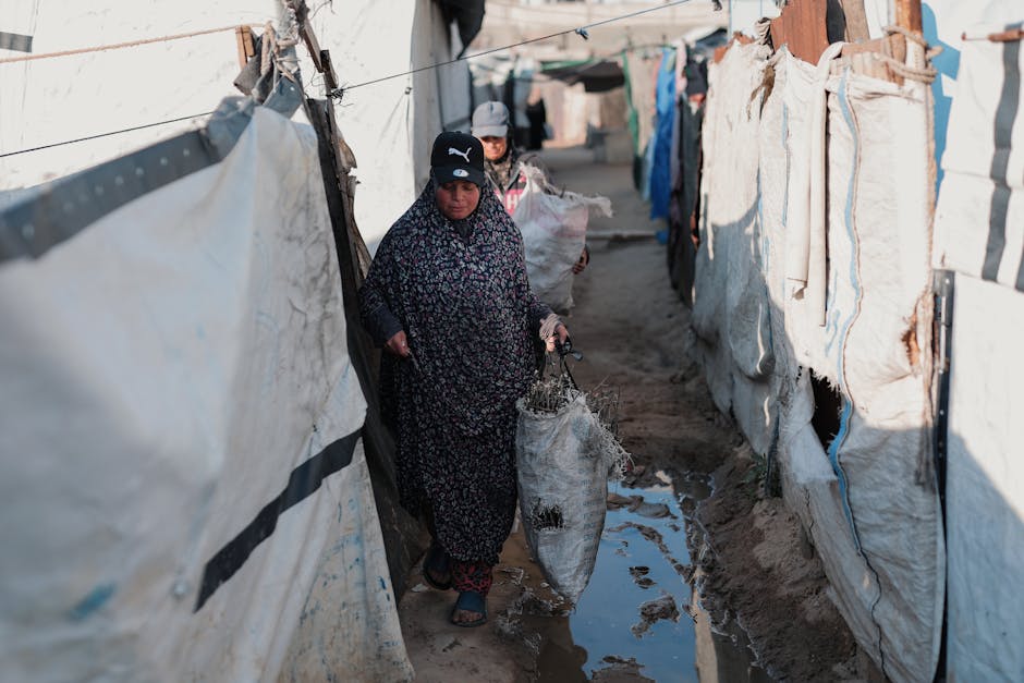 US Plan to Resettle Afghans in Congo Reveals