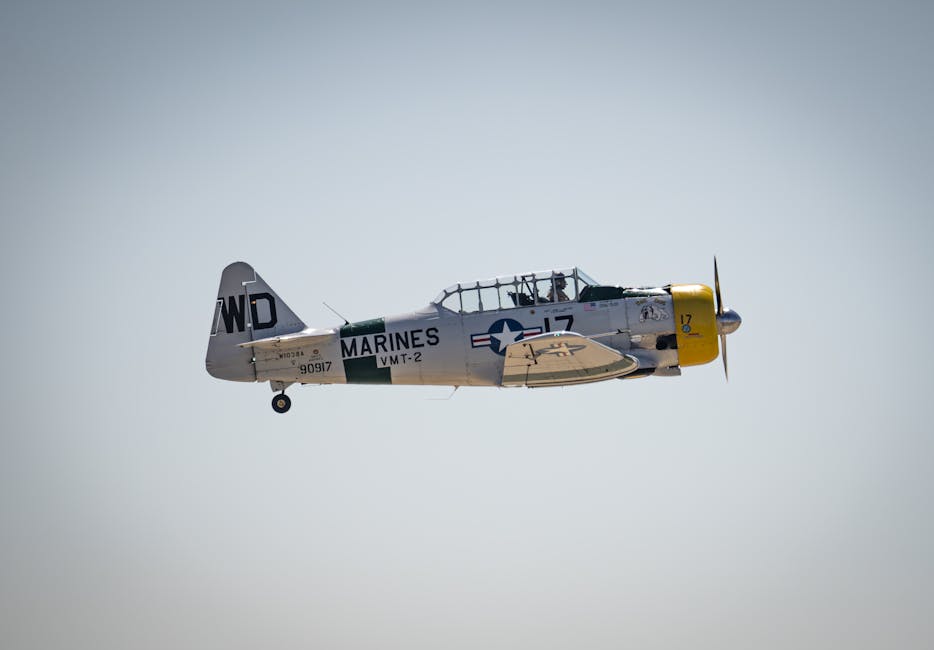 Why a Former US Marine Pilot Lost His Appeal