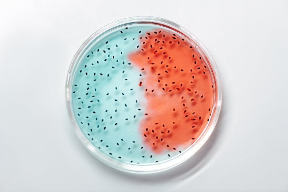 Why Bacteria Can Spin Tiny Motors