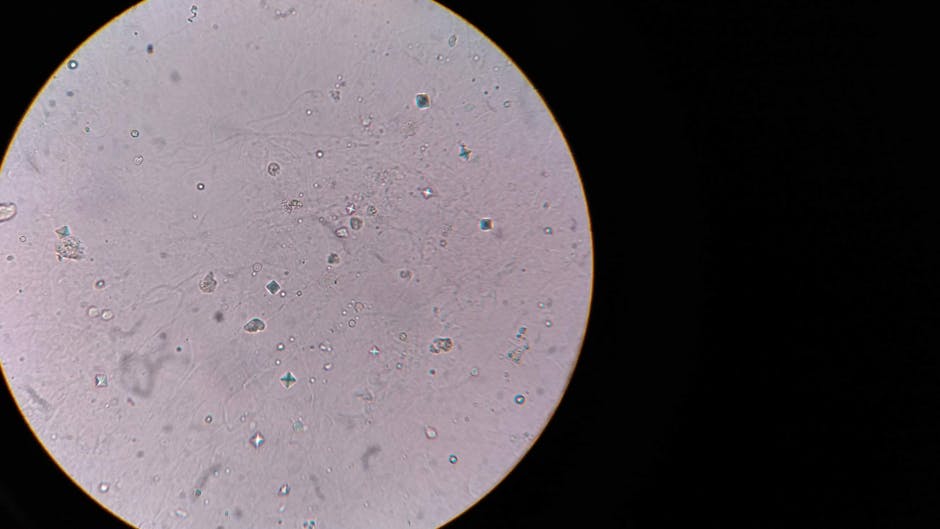 Why Bacteria Share Genes