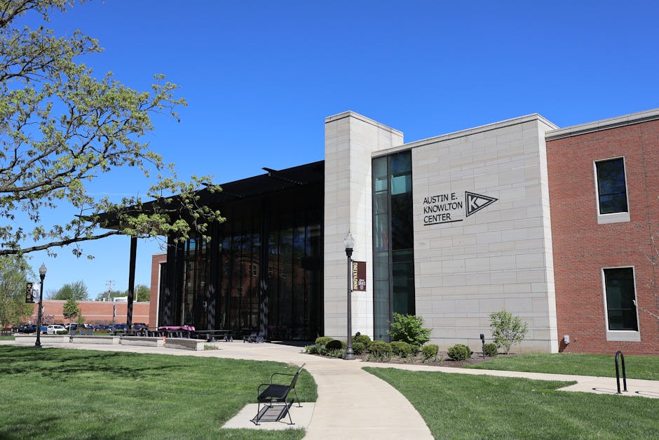 Why Britney Spears Sought Help