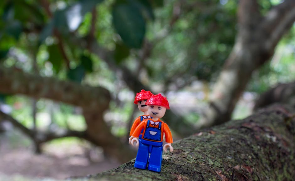 Why California Men Stole $1 Million in Legos