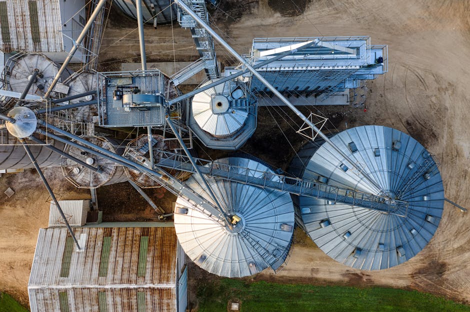 Why Carbon Removal May Not Save the Planet