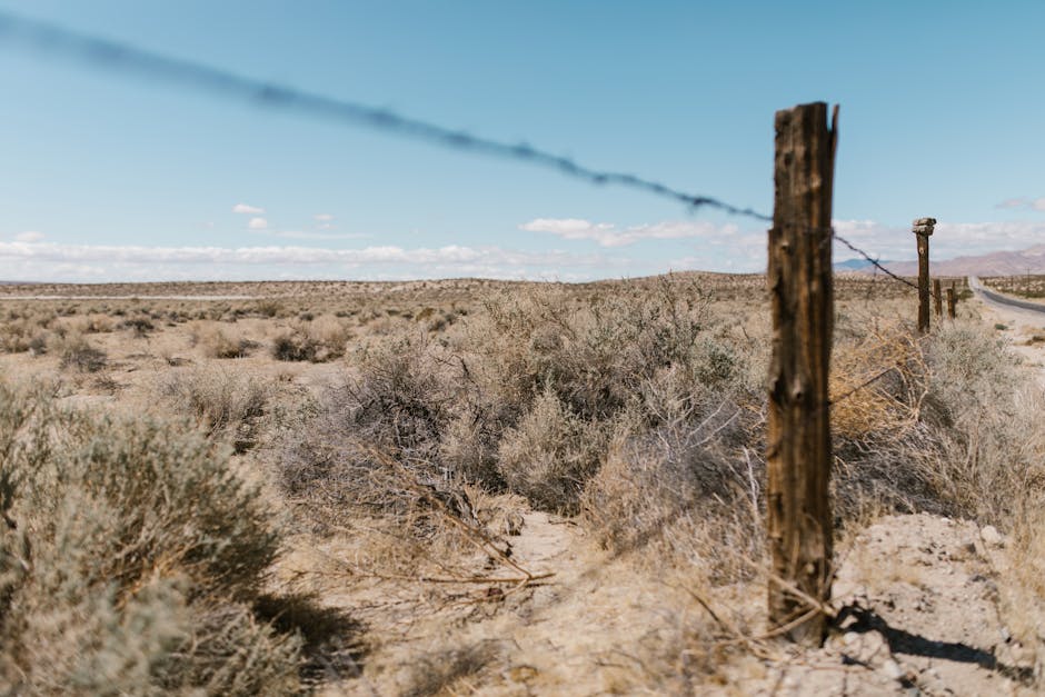 Why Cartel Wars Claim Innocent Lives