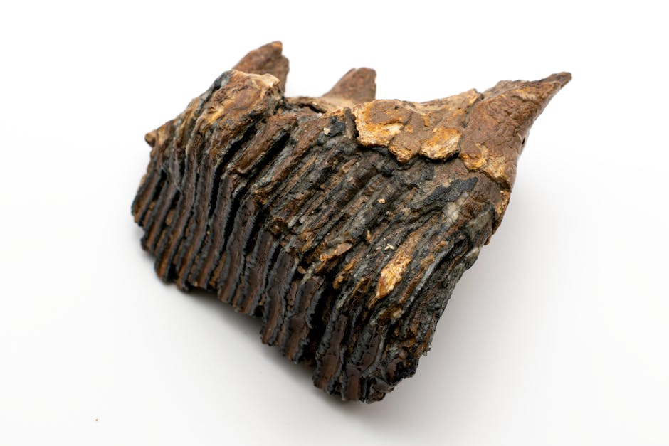 Why Humans Shifted to Smaller Tools