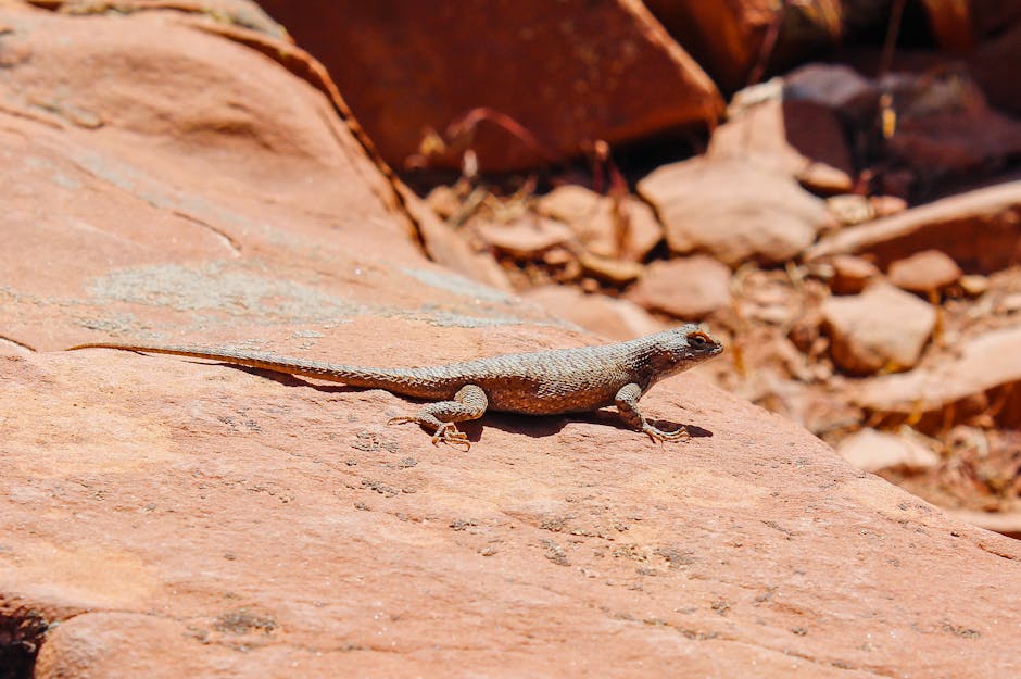 Why Lizards Are Changing Now