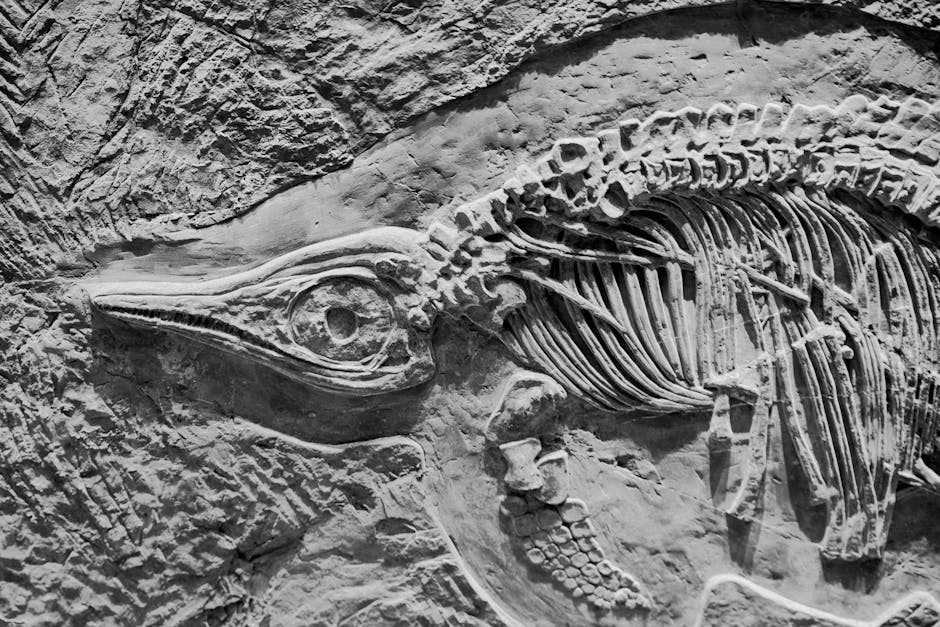 Why Nanotyrannus is Not Just a Teenage T. rex