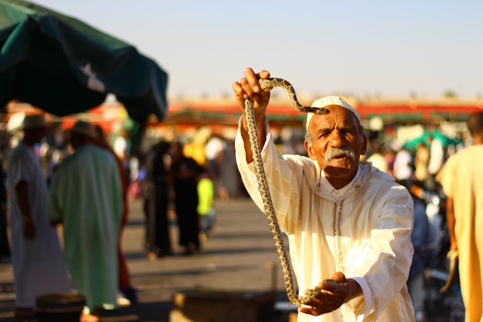 Why Snake Shows Are a Deadly Attraction