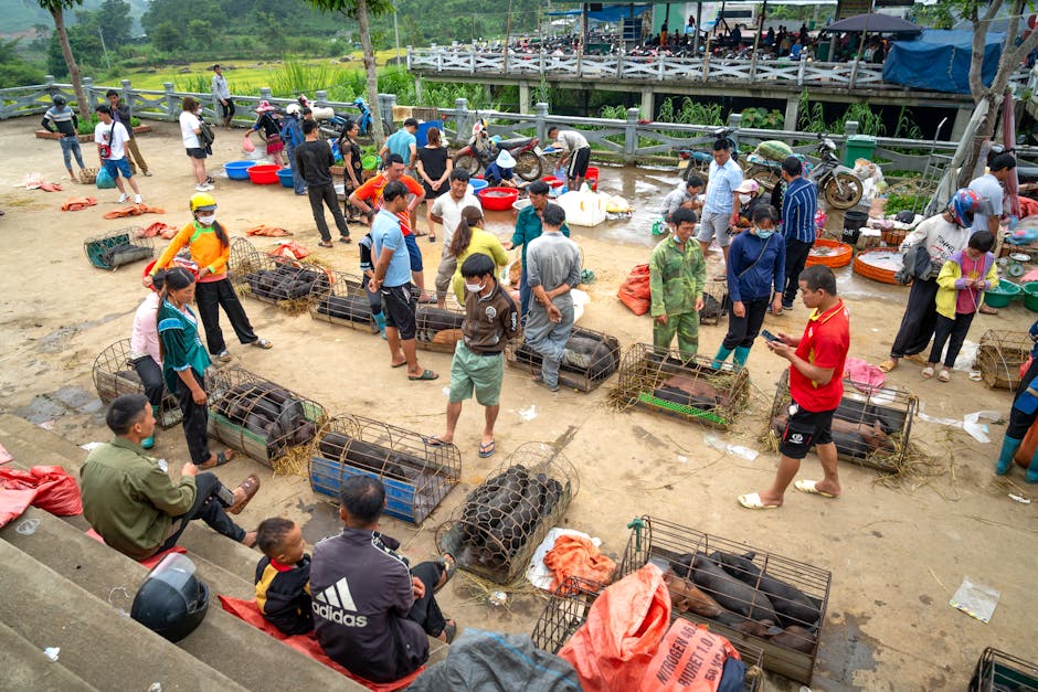 Why Traded Animals Are a Threat to Human Health