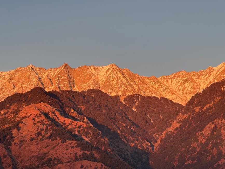 Why You Should Read These Science Books