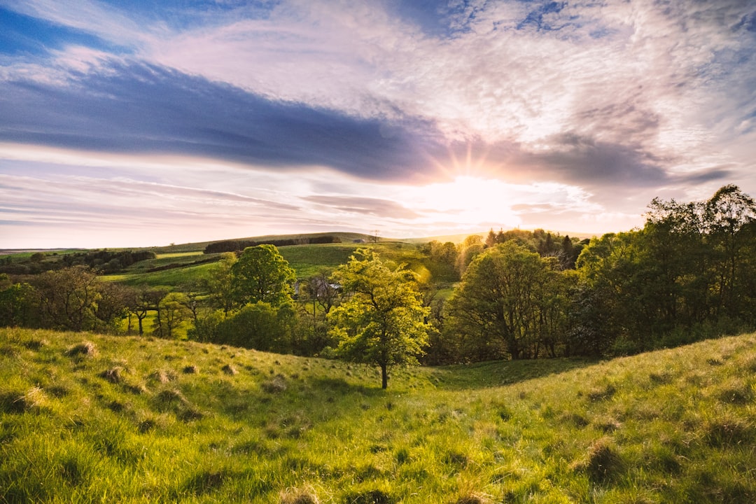 1,000 Years of Mining Created Rare Toxic Meadows