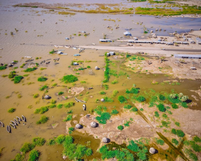 1 in 5 Thermally Influenced Waters Harbors Deadly Amoeba