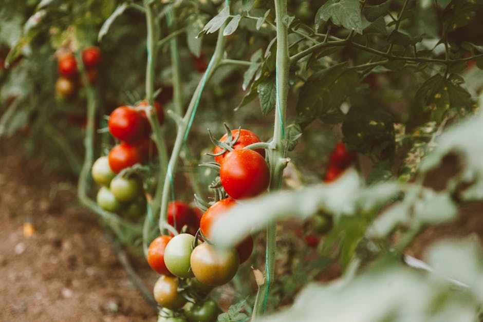 1 in 5 Young Lung Cancer Patients Eat High-Pesticide Produce