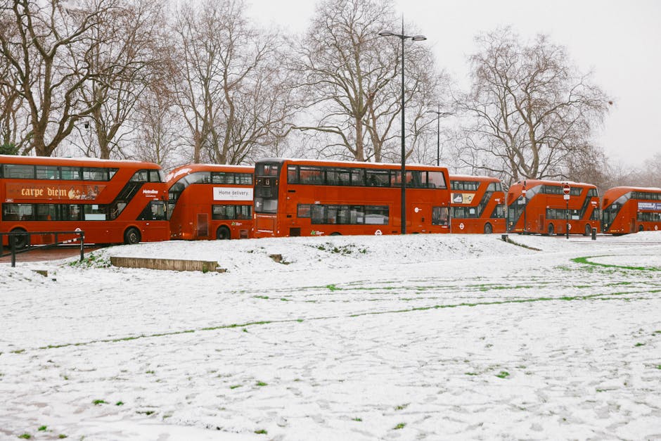 10 Million Kids to Ride Free on English Buses This Summer
