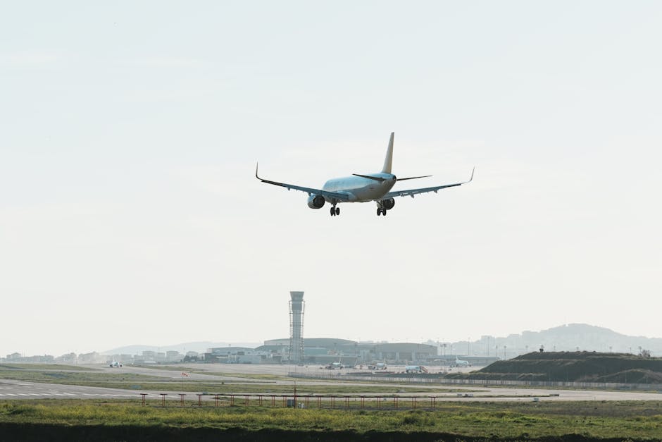 12 Passengers Dead as Hondius Arrives in Tenerife