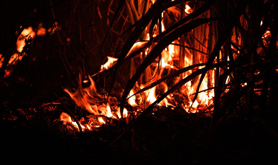 12 Square Kilometers Burn in Chernobyl After Drone Crash