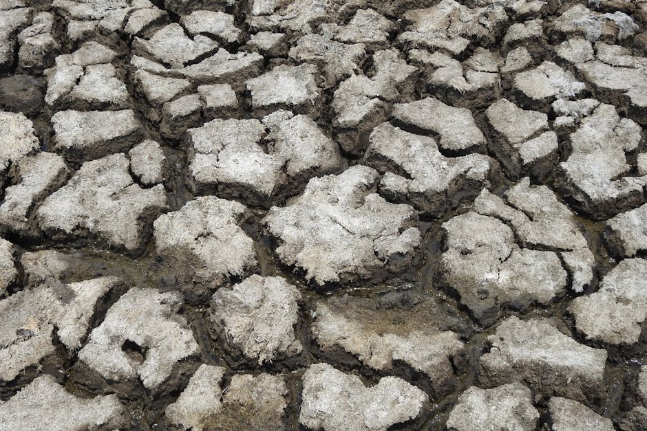 2026 Could See Strongest El Niño in a Decade