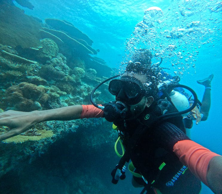 5 Tourists Die in Maldives Dive: GoPro Could Hold Answers