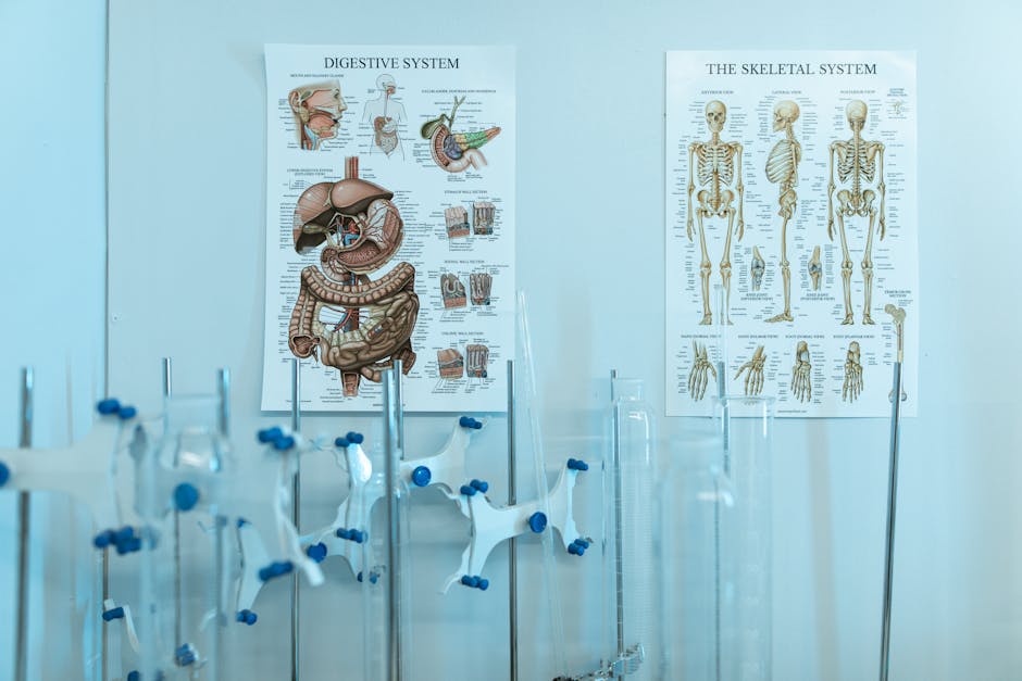 70% of Patients Lose 15% Body Weight on New Drugs