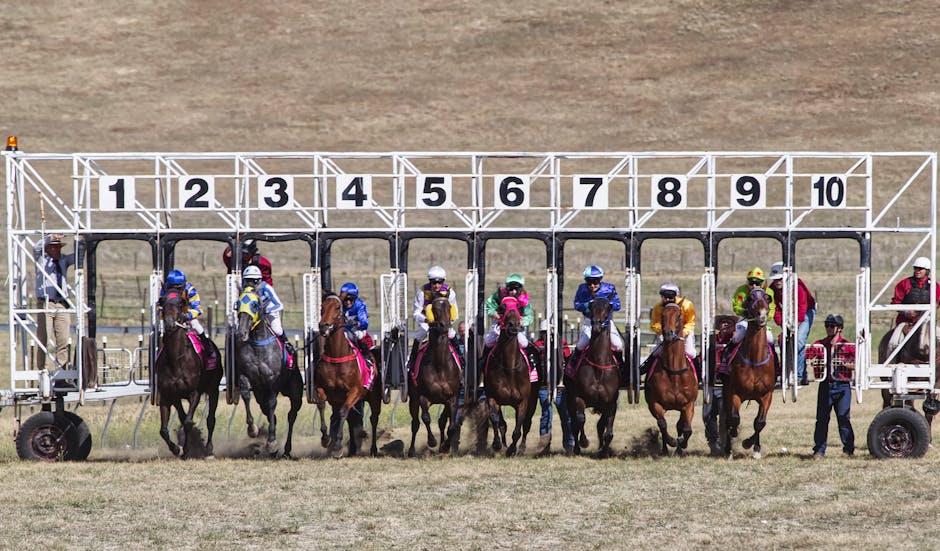 70% of Racing Firms Face Closure Under New Gambling Rules