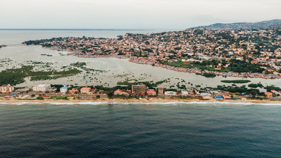 9 Deportees Arrive in Sierra Leone from US in 2024