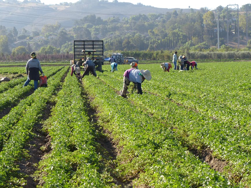 Agroecology Reveals Path to Food Security in Crisis