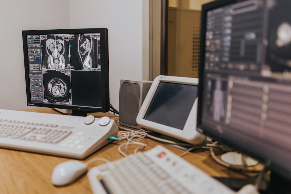 AI Atlas Reveals Hidden Whole-Body Damage Caused by Obesity